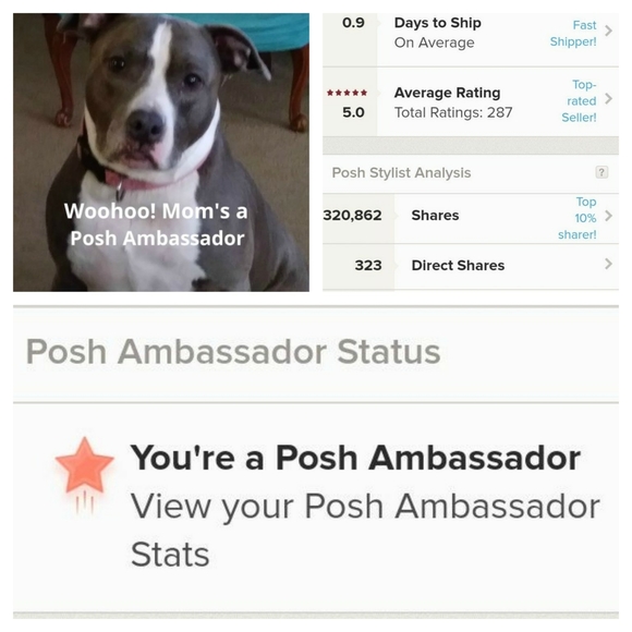 Closet Information - Picture 3 of 11